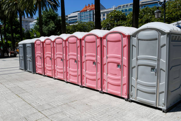 Types of Portable Toilets We Offer in Hawaiian Acres, HI